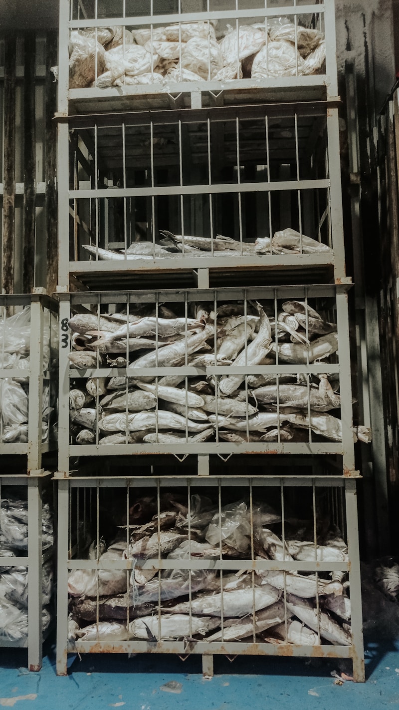 Cold Storage Solutions